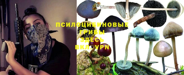 спиды Краснотурьинск